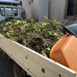 【栃木市内】お庭の枝木回収